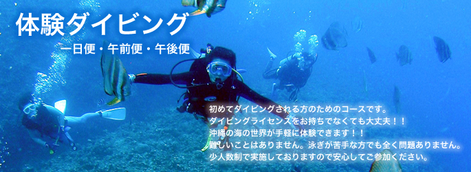 沖縄　ダイビング　ライセンス 「体験ダイビング」